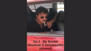 No1  Bu Benim Hayatım X Anlamazdın slowed [upl. by Albert]