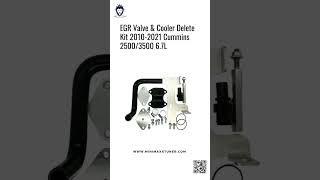 EGR Valve amp Cooler Delete Kit 20102021 Cummins 25003500 67L [upl. by Ralip]