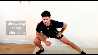 Adductor stretches standing 42 [upl. by Atiuqal344]