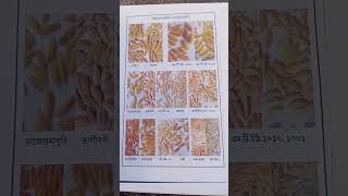 Different type of Hybrid Paddy Seeds [upl. by Narual]