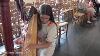 Corianne Verweij Harp Route van de kunst Wemeldinge Kerkweg 5 Zeeland 27 mei 2023 [upl. by Gelya382]