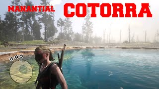 MANANTIAL DE LA COTORRA RED DEAD ONLINE COTORRA SPRINGS RDR2 [upl. by Ut]