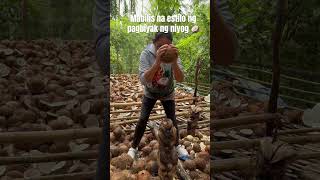 Mabilis na estilo ng pagbiyak ng niyog 🥥 coconut coconutfarmer buhaysaprobinsya [upl. by Peper]