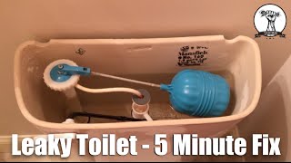 Easy and Quick Leaky Toilet or Hard to Flush  5 Minute Fix only 3 [upl. by Mairhpe146]