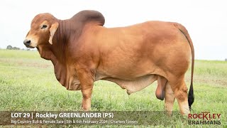 Lot 29  Rockley Greenlander PS [upl. by Aibos]