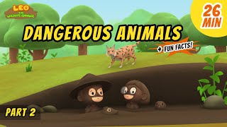 Dangerous Animals Part 23  Animals Stories for Kids  Educational  Leo the Wildlife Ranger [upl. by Enrak]