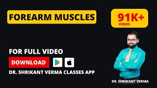 Understanding Upper Limb Anatomy Exploring Forearm Muscles  Dr Shrikant Verma [upl. by Citarella]