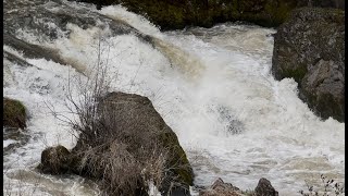 4K HD  Springtime Beautiful River Rapids  Asmr  Relaxing [upl. by Anolahs]