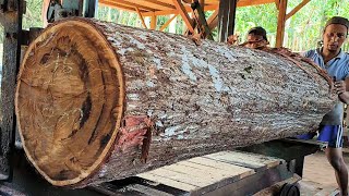 The process of turning large acacia logs into expensive thick planks [upl. by Ellenahc432]