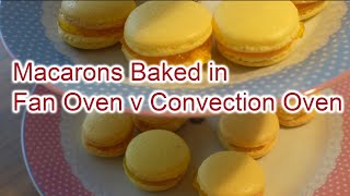 Macarons Baked in Fan Oven Verses Convection Oven NonFan [upl. by Annerol]