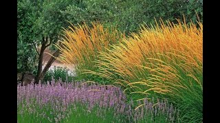 How to use Grasses in the GardenGarden Style nw [upl. by Arratoon45]