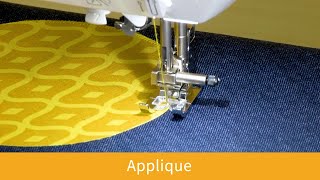 How to Appliqué Using the Baby Lock Brilliant [upl. by Hehre800]