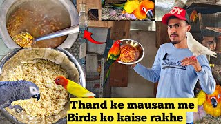 Thand me bird ko kya khane me decold weather care for parrotbird breeding tips [upl. by Codd]