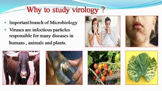 Introduction to Virology [upl. by Courtland256]