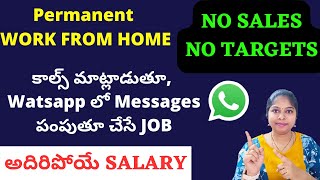 work from home jobs 2024  ditto jobs 2024  permanent work from home  sravanthikrishna [upl. by Rfinnej]