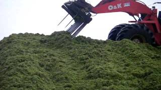 Silage 2011 with Tim Twomey [upl. by Ricard712]