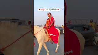 Prayag Raj Kumbh mela shots video reelsvideo viralsong prayagraj kumbhmela2024 mela [upl. by Asselam]