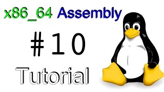 x8664 Linux Assembly 10  Introduction to Files and File Permissions [upl. by Akirej]