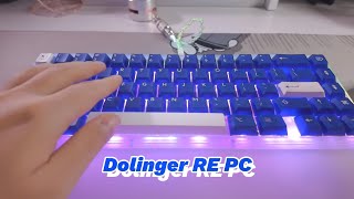 키보드 타이핑 투명 돌고래 Dolinger RE PC [upl. by Hescock647]