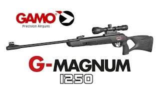 Gamo GMAGNUM 1250 Air Rifle [upl. by Dugald]