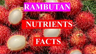 RAMBUTAN FRUIT  HEALTH BENEFITS AND NUTRIENTS FACTS [upl. by Harlow382]