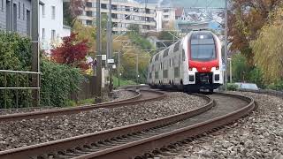 SBB Horgen 15 November 2024 [upl. by Afrika808]