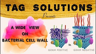 A WIDER VIEW ON BACTERIAL CELL WALL II GRAM STAINING II OSMOTIC PROTECTION [upl. by Dympha]