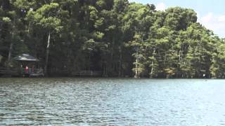 Reelfoot Lake Boat Tour [upl. by Assele]