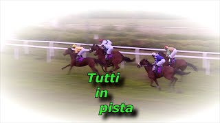 Tutti in pista 22112024 [upl. by Eimmac]