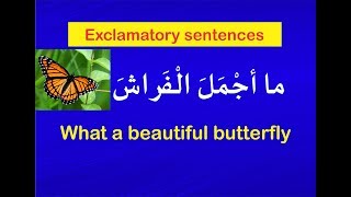 Exclamatory sentences [upl. by Cranston32]