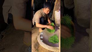 Make hair growth lotion shorts shortvideo rurallife [upl. by Aerehs]