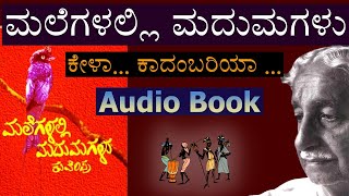 ಮಲೆಗಳಲ್ಲಿ ಮದುಮಗಳು  12 Malegalalli Madumagalu Audio Book kannadaaudiobook kuvempu kannadabooks [upl. by Cathee]