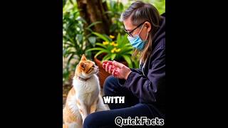 Why Do Cats Purr 🐱 Explained in 34 Seconds [upl. by Laundes]