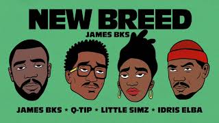 James BKS  New Breed feat QTip Idris Elba amp Little Simz [upl. by Enohs]