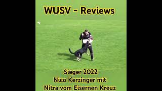 WUSV Reviews 2022 Nico Kerzinger mit Nitra vom Eisernen Kreuz [upl. by Annabell]