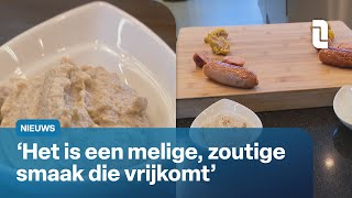 Wordt champignonpasta de toekomstige vetvervanger  L1 Nieuws [upl. by Arutnev459]