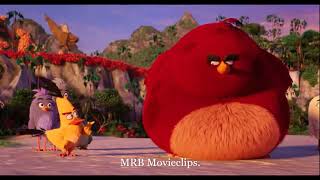 🐦Angry Birds  Terence is Faster than Chuck 😮  UNBELIEVABLE  😲 [upl. by Dougall]