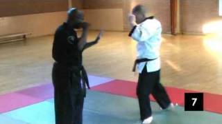 Browne Budo Ryu Kempo Jujitsu Demo [upl. by Nnoj]