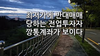 최저가에 당한 반대매매 깡통계좌의 길이 보이다 [upl. by Kauppi]