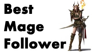 Skyrim The Best Mage Follower Guide [upl. by Ahsekam620]