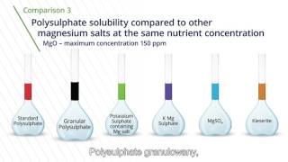 3 Polysulphate  porównanie rozpuszczalności składników odżywczych [upl. by Ahsinel2]