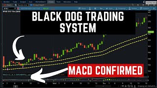 Black Dog Trading System Indicator for ThinkorSwim  ThinkScript Study [upl. by Matta]