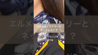 エルメスツイリースカーフ×ネックレス 大人可愛いアレンジ｜アクセサリー HERMES twilly スカーフ [upl. by Stasny]