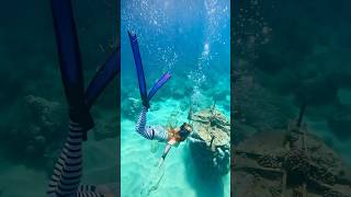 🩵 ocean underwater freediver freediving asmr asmrsounds satisfyingsounds [upl. by Dwyer966]