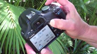 How to Set Manual Exposure on a Canon Digital Rebel Camera [upl. by Novak]