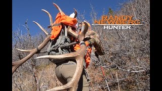 2016 Colorado Rifle Elk Hunt with Randy Newberg S5 E6 [upl. by Cowden502]