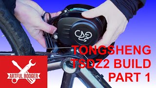 Unveiling The Ultimate Tongsheng Tsdz2 Mid Drive Ebike Motor Bike Build [upl. by Sofer50]