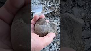 FOSSIL HUNTER Discovers DINOSAUR AGE MOSASAUR Vertebrae Bone fossilhunting TEXAS River [upl. by Rhtaeh63]