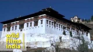 Jangtsa Dumtseg Lhakhang and Rinpung Dzong  Bhutan [upl. by Gitlow]