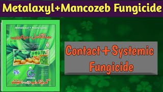 Metalaxyl 8 Mancozeb 64 WP  Systemic and Contact Fungicides [upl. by Atinas760]